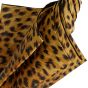 Marchesato umbrella - double - leopard